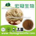 100%Natural Organic Pure Original High Quality and Low Price Ginger Root Extract